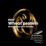 L`Oréal Professionnel SE Absolut Repair Golden Protein + Omega 9 maska za kosu 250ml - Slika 4