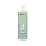 Dandruff šampon 300ml indola