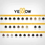 Alfaparf Yellow boja za kosu 100ml - Slika 3
